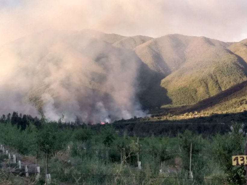 Declararon Alerta Roja en Rengo por incendio forestal que ha consumido 35 hectáreas