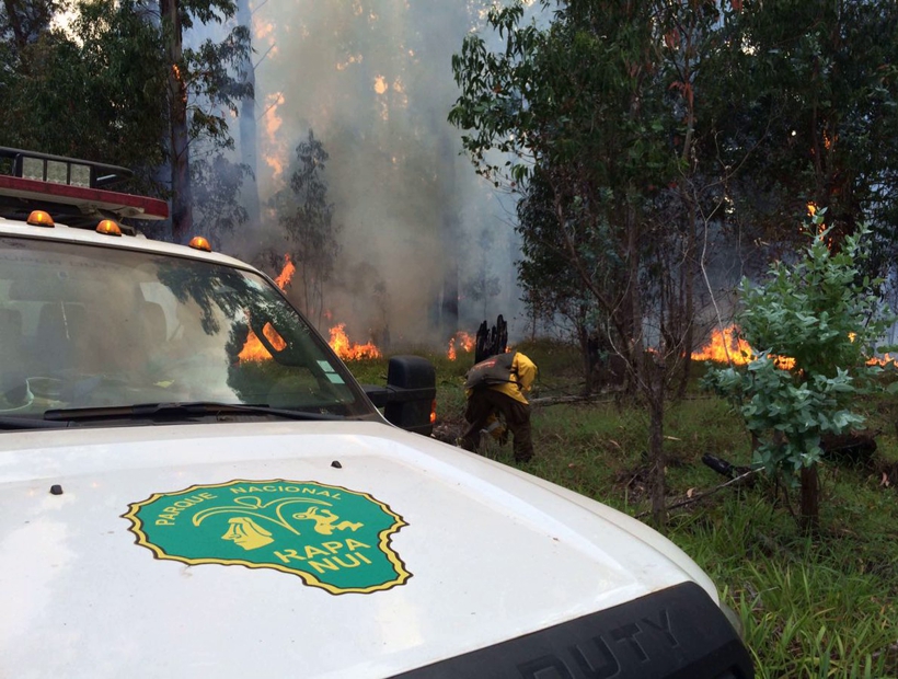Incendio forestal consumió 120 hectáreas en Rapa Nui e interrumpió el tránsito a la playa Anakena