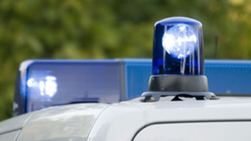 Policía alemana halló los cadáveres de dos bebés en un congelador
