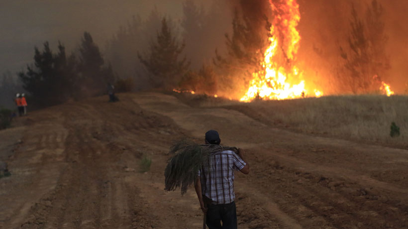 Carabineros identificó 349 puntos de riesgo de incendios forestales en el país