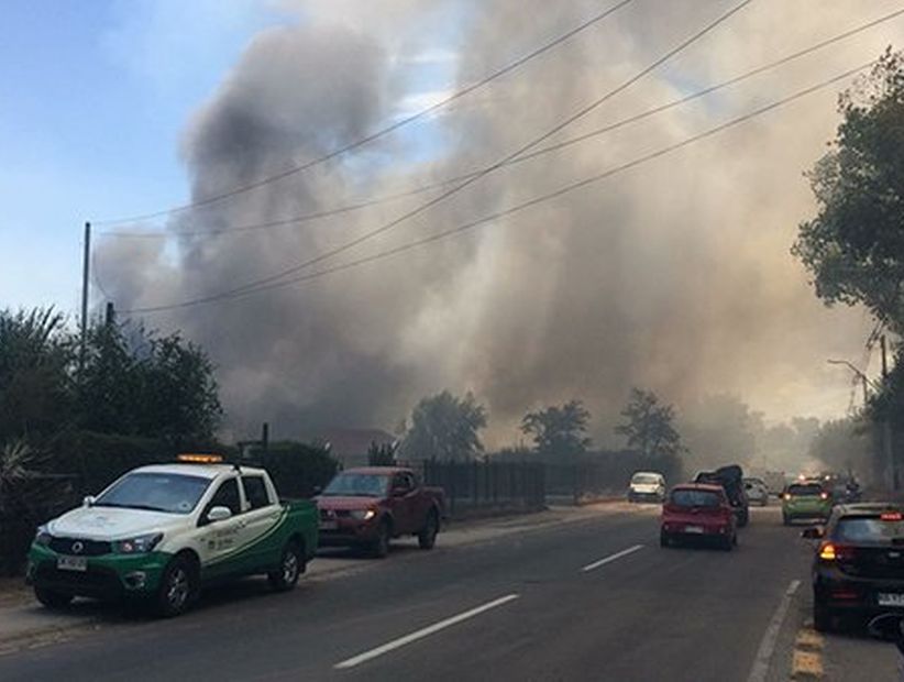 Dos viviendas fueron afectadas por un incendio forestal en Lo Arcaya