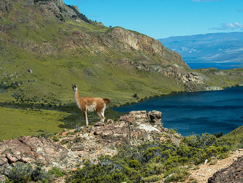 New York Times recomendó la Ruta de los Parques de la Patagonia entre los lugares a visitar en 2018
