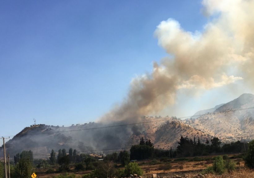 Declaran alerta roja por incendio forestal en Paine