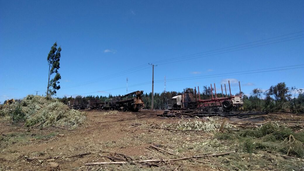Ataque incendiario dejó cuatro camiones quemados en Ercilla
