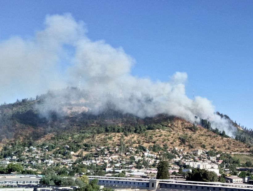 Un incendio forestal afecta al cerro San Cristóbal