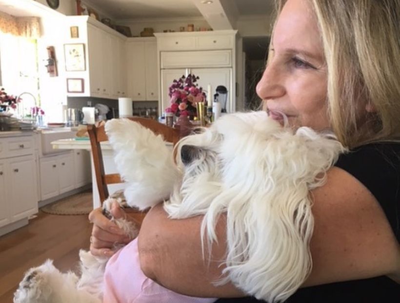 Barbra Streisand tiene dos perros clonados de su mascota fallecida