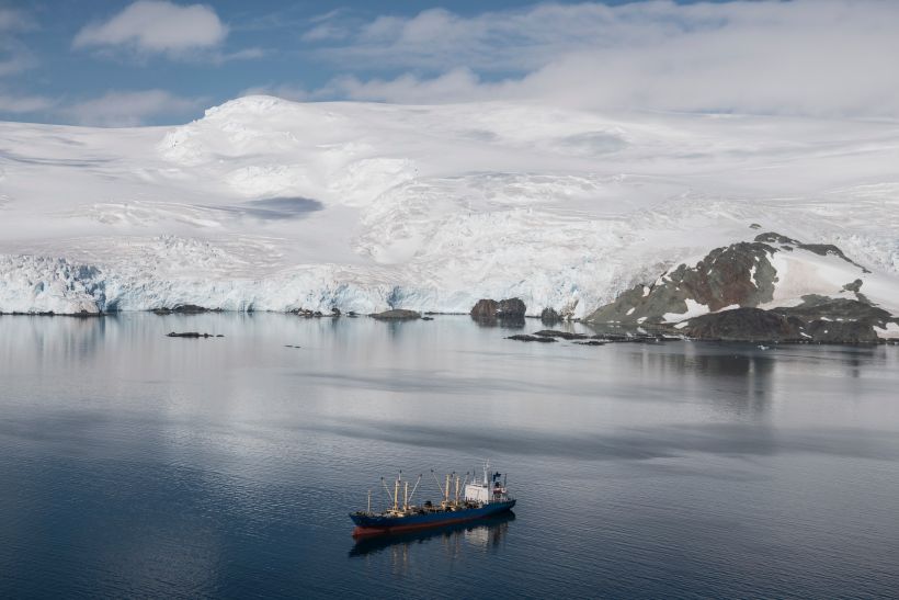 Pesca de krill en la Antártica se ha duplicado y pone en peligro la biodiversidad de la zona