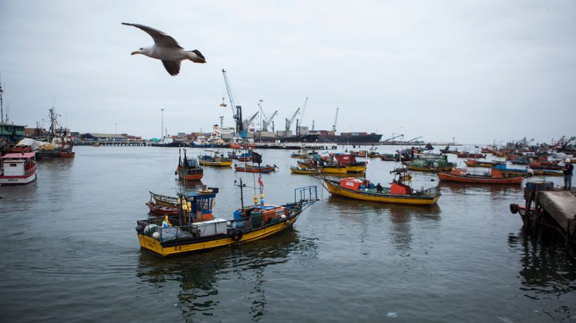 Cadem: sólo un 7% está a favor de entregar salida al mar con soberanía a Bolivia