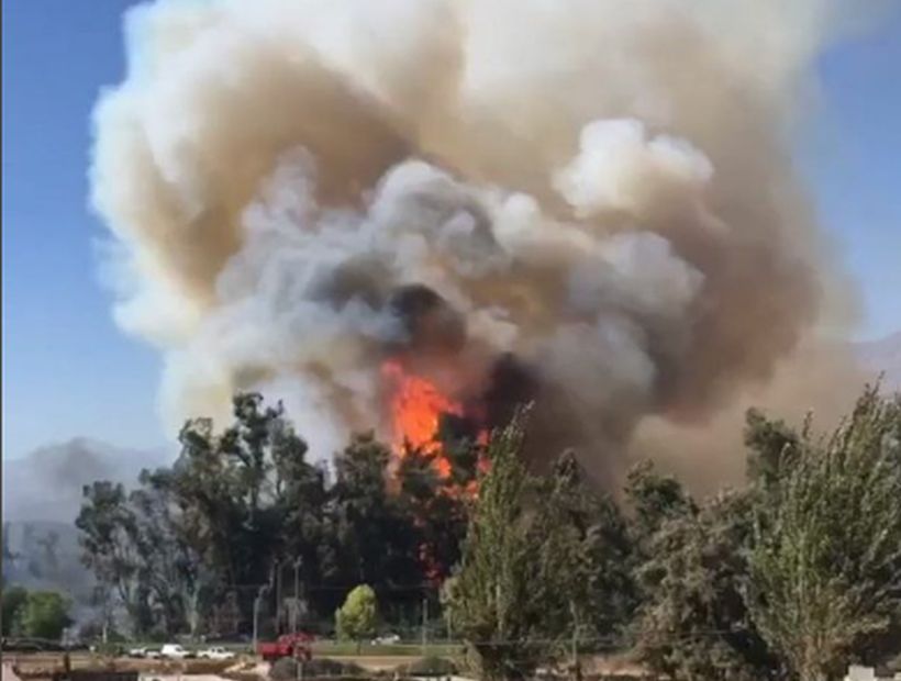 Incendio forestal afecta a sector aledaño al hospital psiquiátrico El Peral