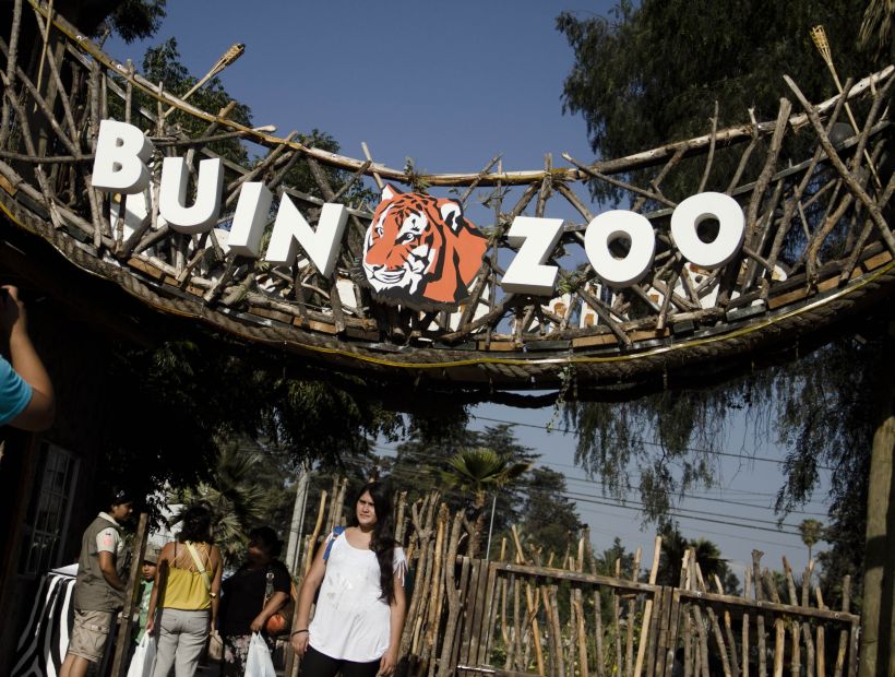 Carabinero de civil frustra robo en el Buin Zoo