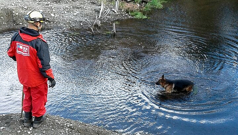 En Frutillar encuentran celular y ropa que serían de vecina desaparecida