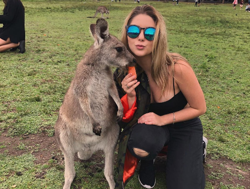 Canguros adictos a las zanahorias atacan a turistas en Australia