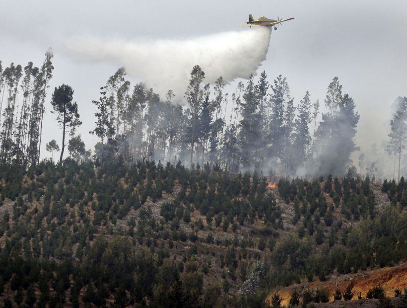 Contraloría reveló irregularidades en la gestión de Conaf durante los incendios forestales