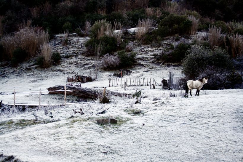 Región de Aysén: declaran alerta temprana preventiva por heladas de hasta -12°C