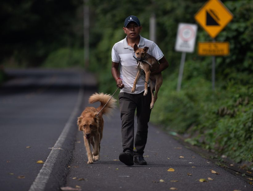 Guatemalteco volvió a su casa para rescatar a sus perros tras la tragedia del Volcán de Fuego