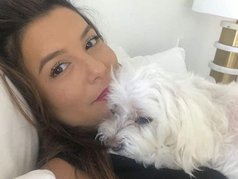 Eva Longoria llora la partida de su perrito a poco tiempo de dar a luz: 