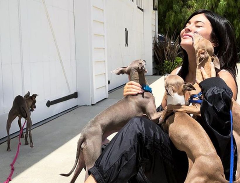 Kylie Jenner mostró la lujosa casa que tendrán sus mascotas