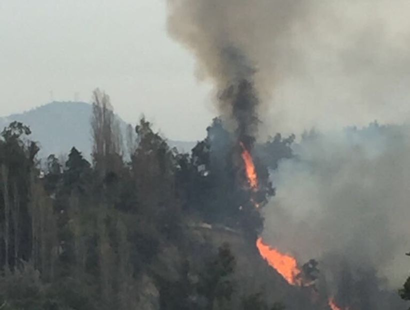 [VIDEO] Onemi decretó Alerta Roja por incendio forestal en Pirque