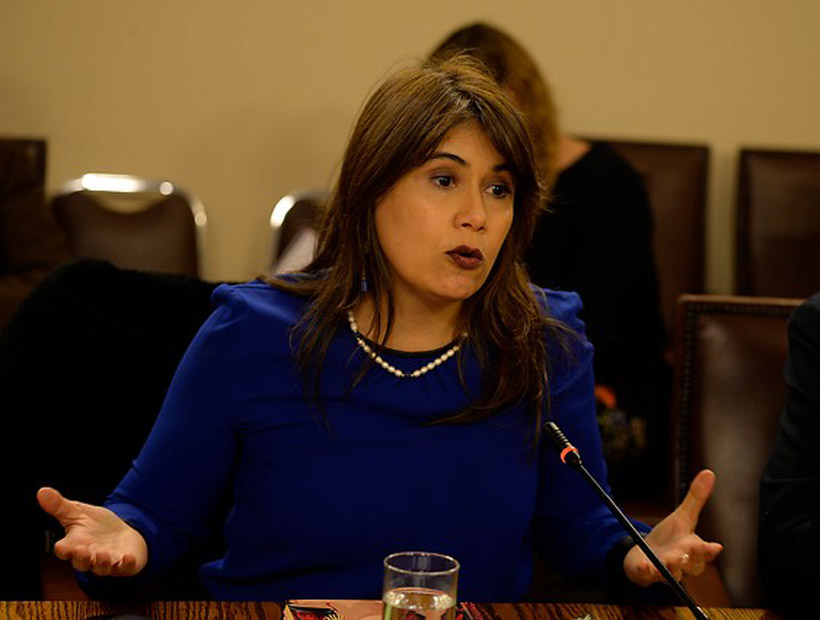 Javiera Blanco pidió un permiso administrativo por dos meses en el CDE