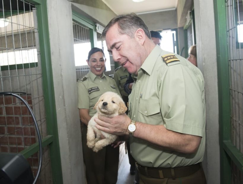 Hermes Soto visitó la Escuela de Adiestramiento Canino tras exitoso desfile de cachorros en la Parada Militar
