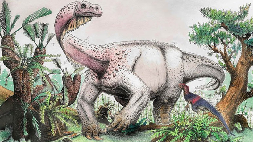 Descubrieron una nueva especie de dinosaurio de 12 toneladas en Sudáfrica