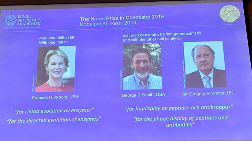 Otorgaron el Nobel de Química a tres científicos por los avances en el desarrollo de proteínas
