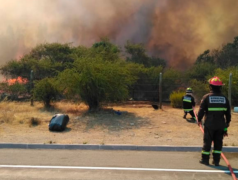 Alerta Roja En Quilpu Por Incendio Forestal Ya Ha Consumido Hect Reas