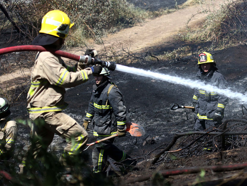 Declararon Alerta Roja Por Incendio Forestal En Casablanca