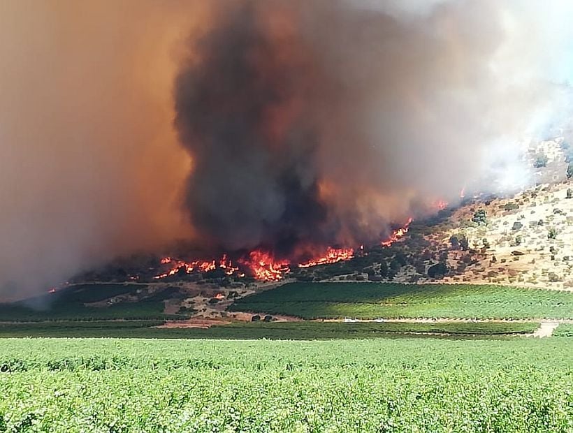 Declararon Alerta Amarilla Para San Javier Por Un Incendio Forestal 6595