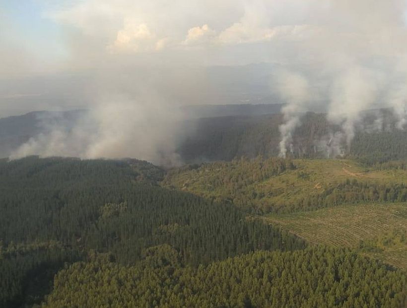 Nuevo Incendio Forestal En La Provincia De Biobío Ha Consumido Más De 100 Hectáreas Y Se 6805