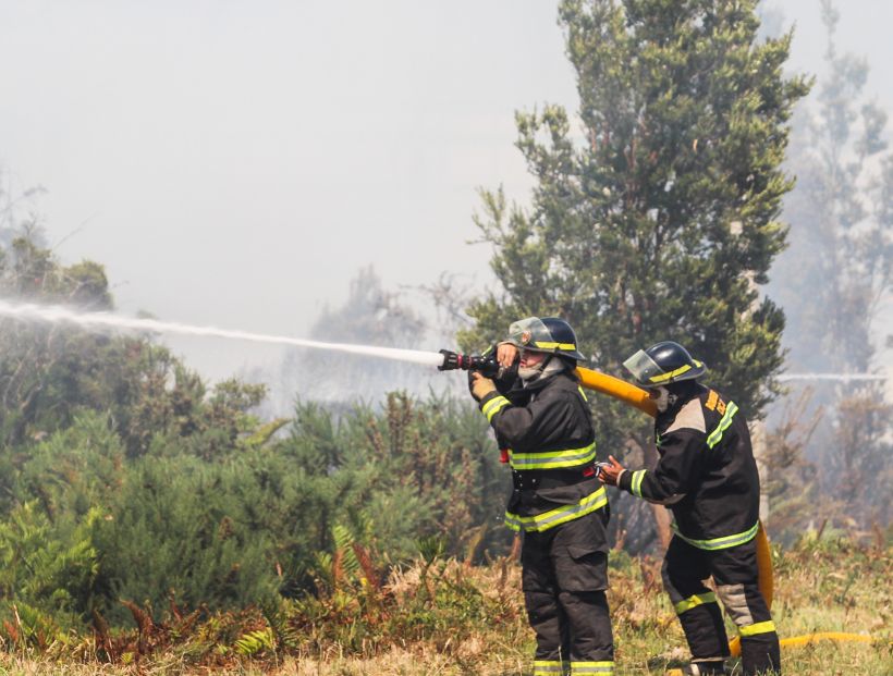 Incendios han destruido alrededor de 700 hectáreas en Ancud