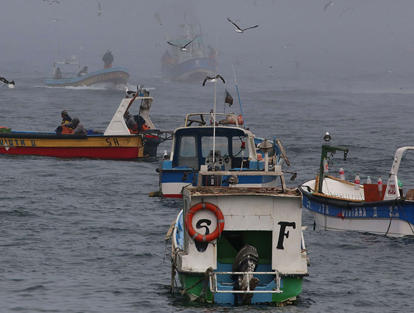 Pescadores de Caleta Chigualoco ya tienen planta desalinizadora