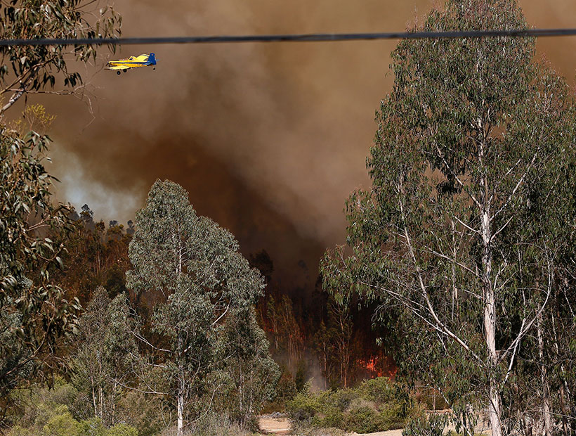 Sigue alerta roja en Valparaíso por incendio Forestal que ha consumido 500 hectáreas