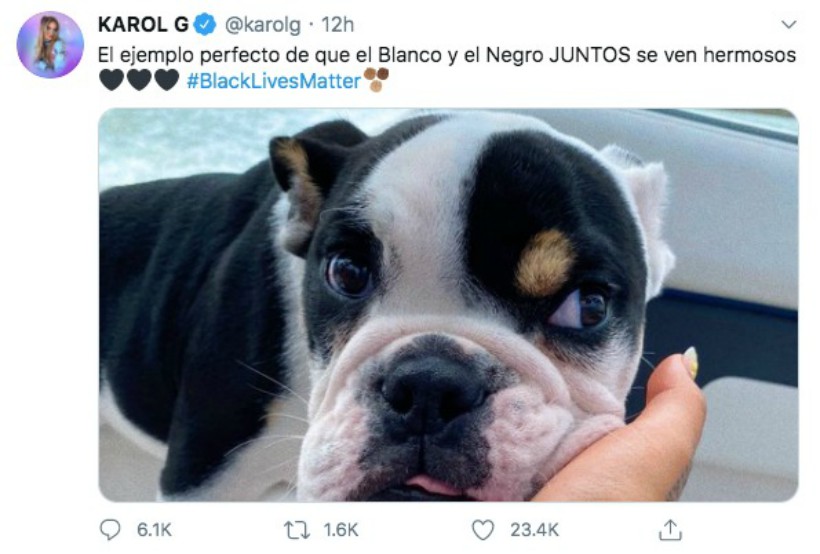 Karol G generó polémica tras hablar de racismo y usar de ejemplo una fotografía de su perro