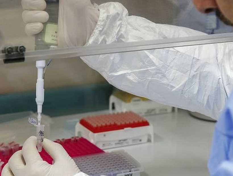 Región de Los Lagos registró 64 nuevos casos de Covid-19 y Puerto Montt sumó 31