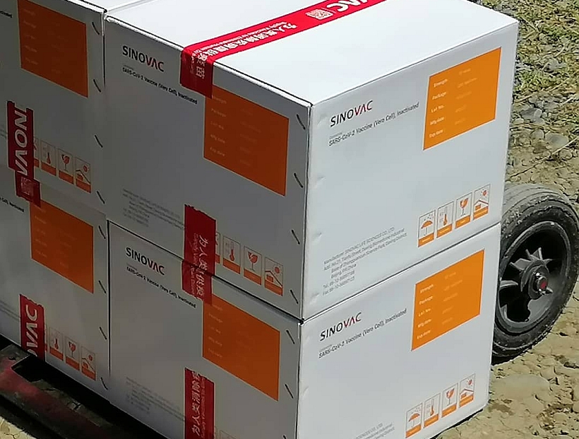 Este fin de semana llegarían más vacunas Sinovac a la Región de Los Lagos