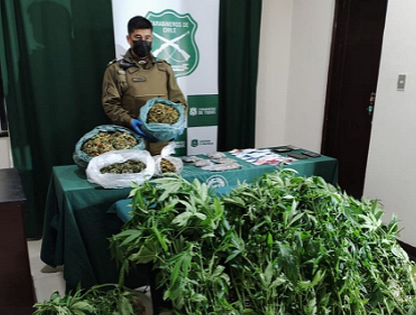 En Llanquihue detuvieron a un profesor y otro sujeto por tráfico de marihuana