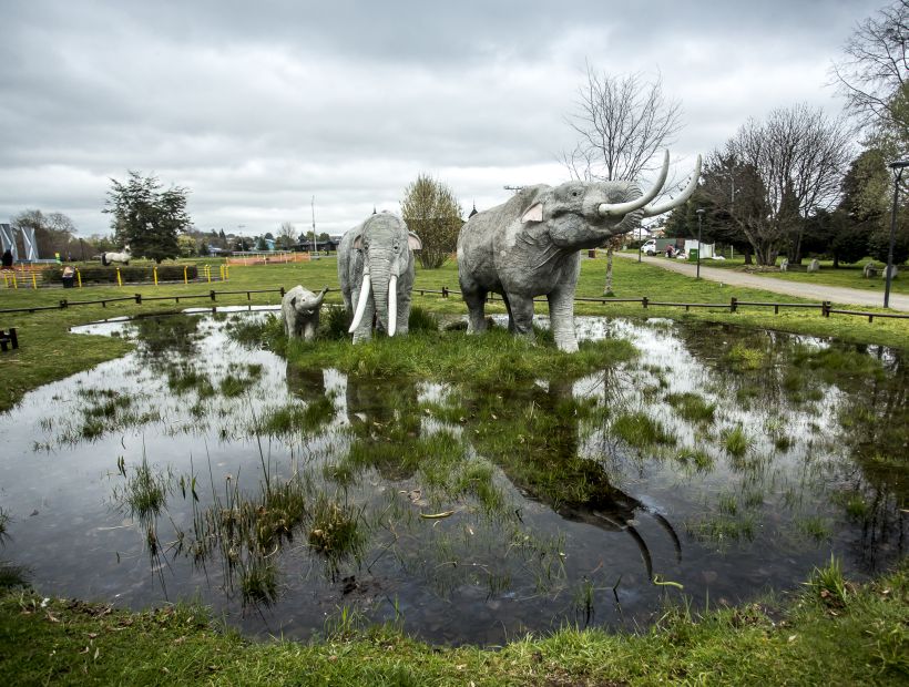 Osorno: Pilauco se sitúa como hito cultural y turístico a nivel regional