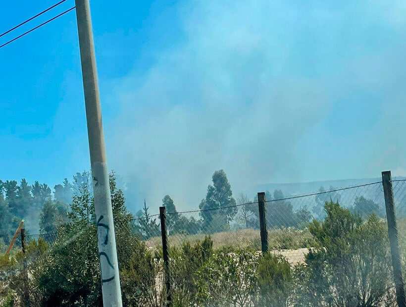 Dos Incendios Forestales Se Registraron En Placilla