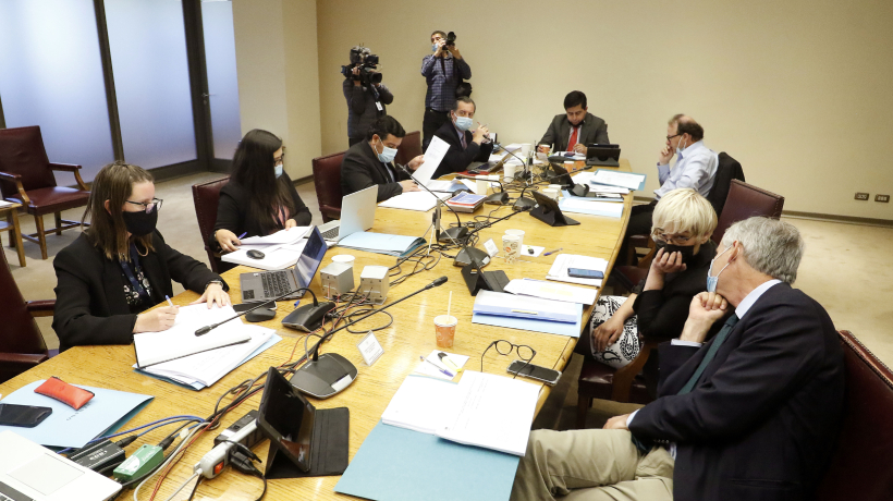 Ley Tamara: Comisión de Constitución del Senado retoma discusión en particular Ley Tamara: Comisión de Constitución del Senado retoma discusión en particular