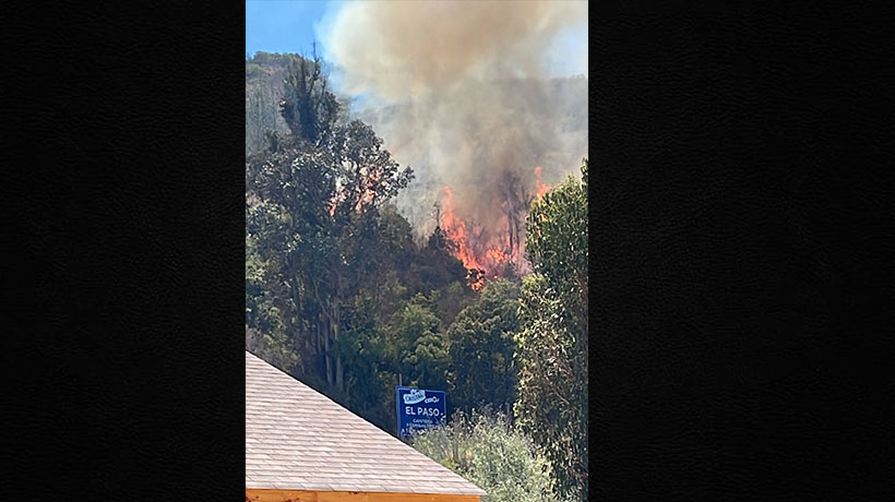 Incendio forestal consumió 8 hectáreas en Casablanca