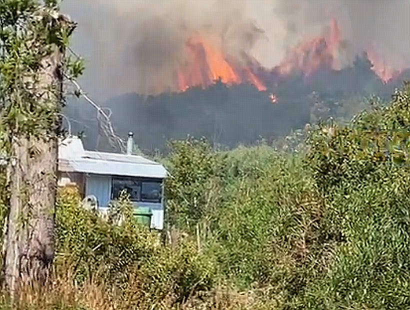 Incendio forestal en sector Pelluco Alto de Puerto Montt amenaza con llegar a viviendas