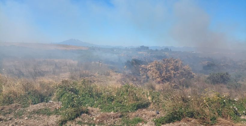 Incendio por quema de matorrales afecta el sector lagunitas en Puerto Montt Incendio por quema de matorrales afecta el sector lagunitas en Puerto Montt