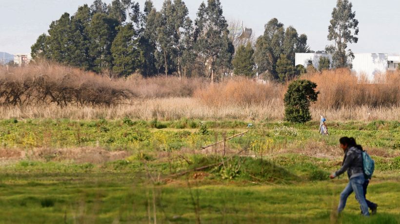 Esperan que Santuario Humedal Los Batros ayude a proteger su biodiversidad