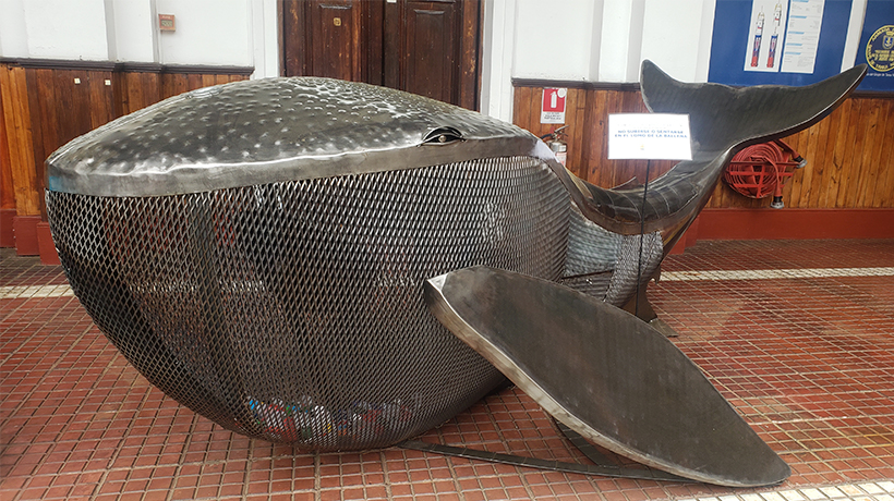 Museo Marítimo Nacional de Valparaíso inauguró nuevo contenedor de tapitas plásticas llamado "LuzMarina"