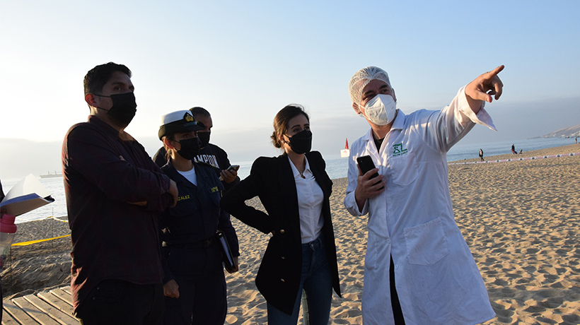 Playa Los Marineros de Viña del Mar sufrió contaminación con hidrocarburos