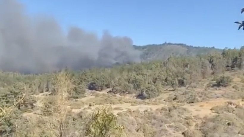 Incendio forestal en Laguna Verde fue controlado: consumió más de 119 hectáreas
