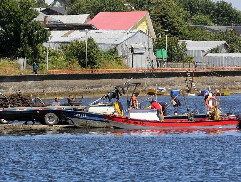 Subpesca designó un director zonal transitorio en la Región de Los Lagos Subpesca designó un director zonal transitorio en la Región de Los Lagos