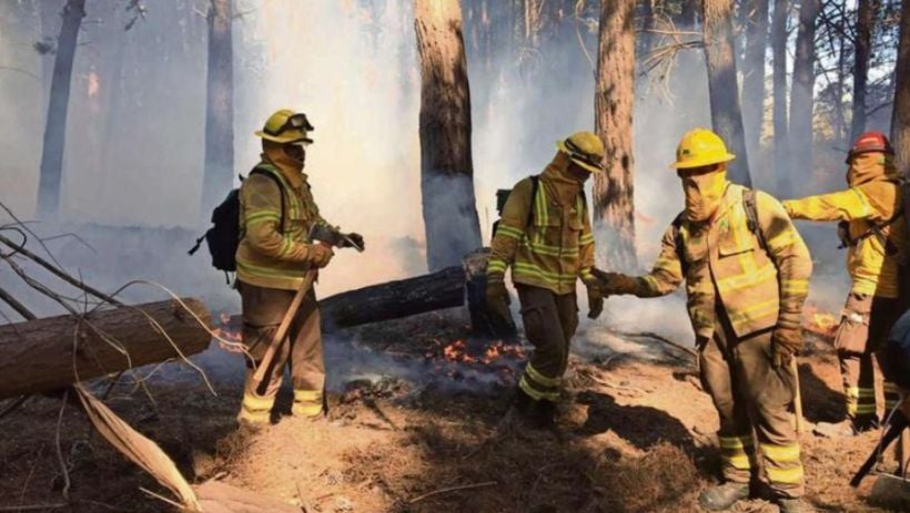 Onemi reportó 7 incendios forestales activos y alerta temprana en las