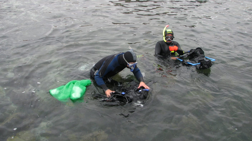 As Es C Mo Censaran A La Biodiversidad Marina En La Regi N De Antofagasta